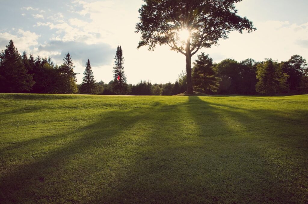 Home 4 Wakaw Lake golfing 5