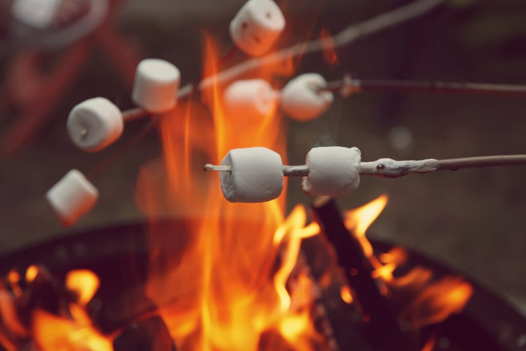 Home 17 Wakaw Lake marshmallows